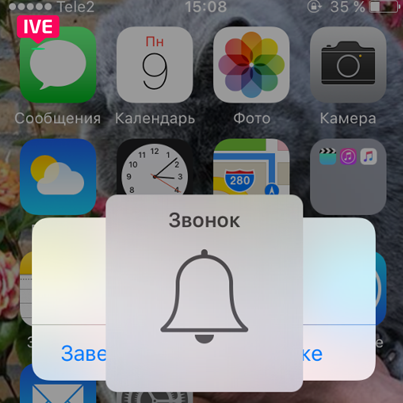 Проблема со звуком на iPhone 11