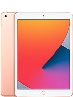 iPad 8