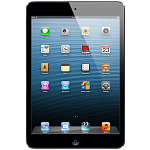 iPad mini